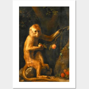 A Monkey by George Stubbs (digitally enhanced) Posters and Art